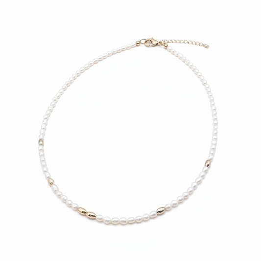 Freshwater Pearl Choker Necklace 14k Gold Filled for Women


